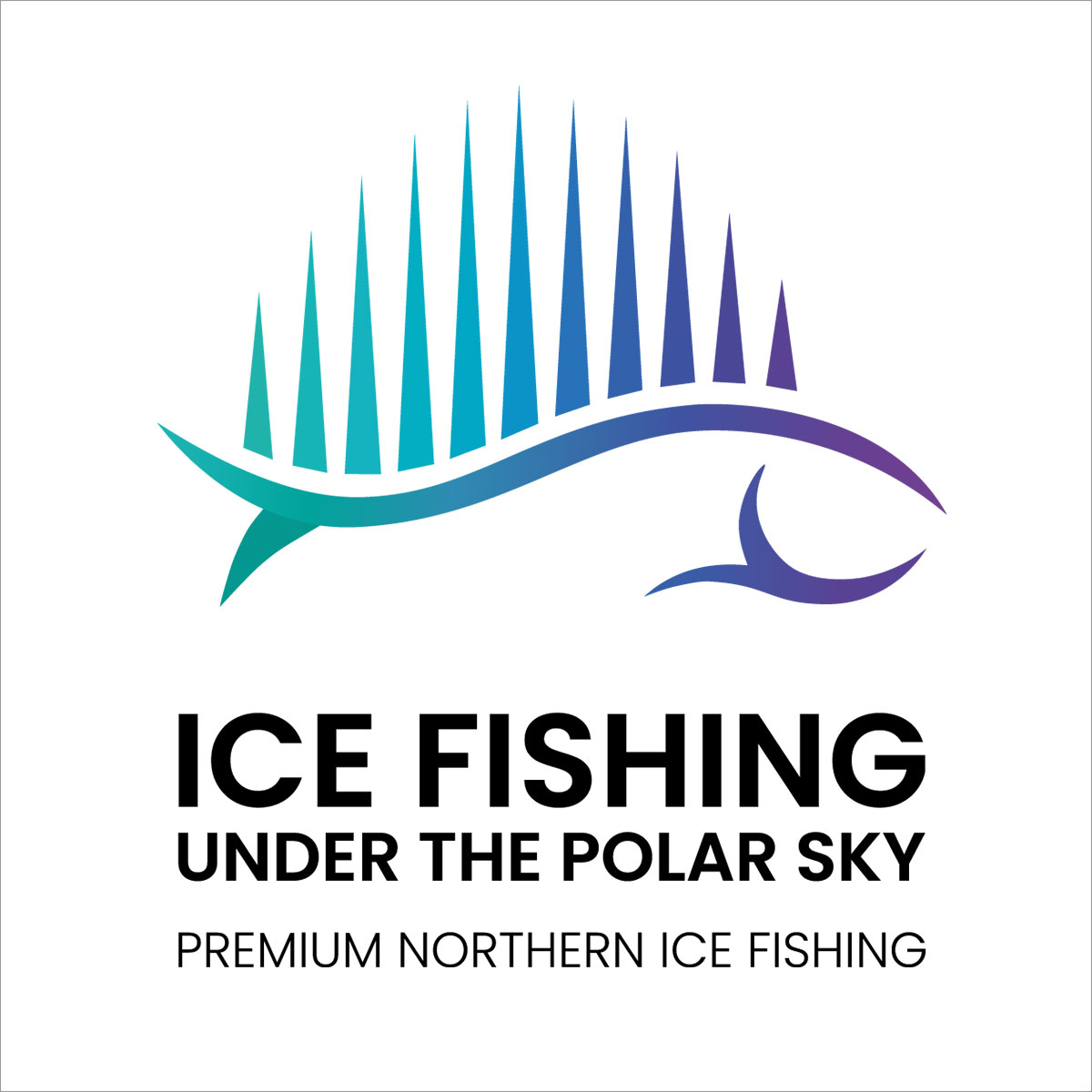 revontulipilkki-logo